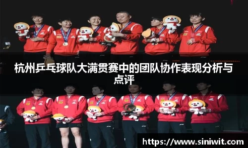 杭州乒乓球队大满贯赛中的团队协作表现分析与点评
